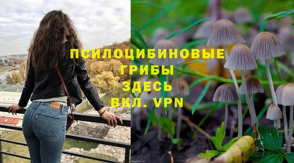 ешки Покачи