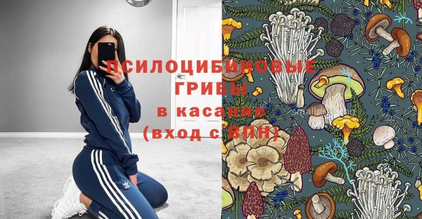 прущие грибы Покров