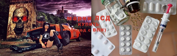 прущие крисы Чердынь