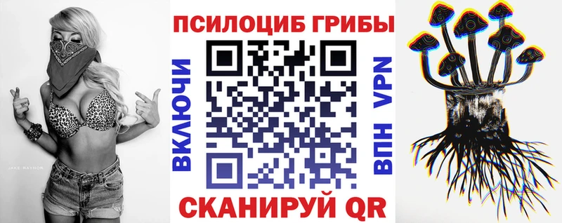 mega ССЫЛКА  Аксай  Галлюциногенные грибы MAGIC MUSHROOMS 