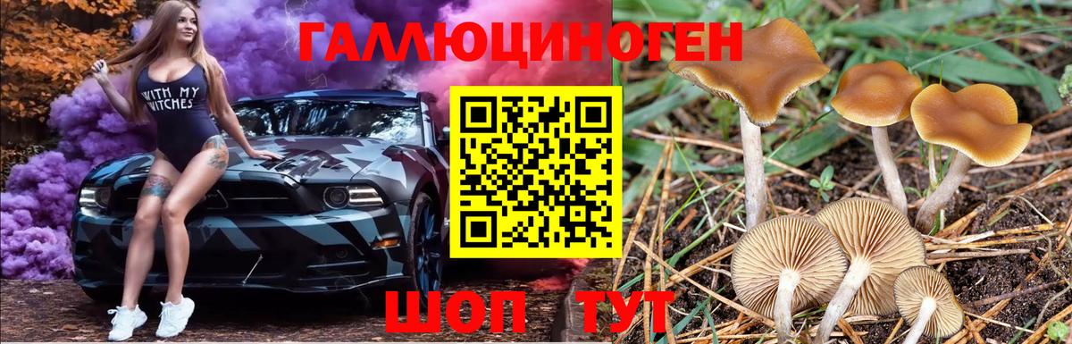 закладка  Аксай  Псилоцибиновые грибы MAGIC MUSHROOMS 