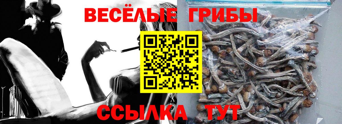 Аксай  Псилоцибиновые грибы ЛСД  Псилоцибиновые грибы мицелий  Вход с VPN 