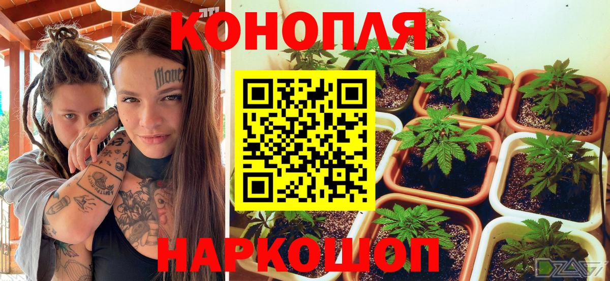 Бошки марихуана индика  Аксай  Бошки марихуана VHQ  Бошки Шишки Ganja 